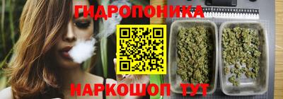 гидропоника Нальчик