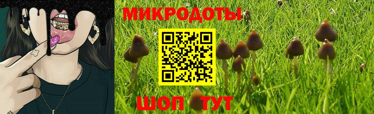 купить  сайты  Псилоцибиновые грибы ЛСД  Вход с VPN  Тимашёвск  Галлюциногенные грибы ЛСД 