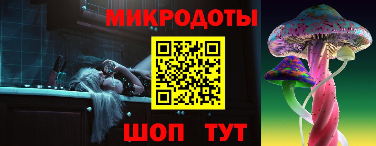 Псилоцибиновые грибы Cubensis Тимашёвск